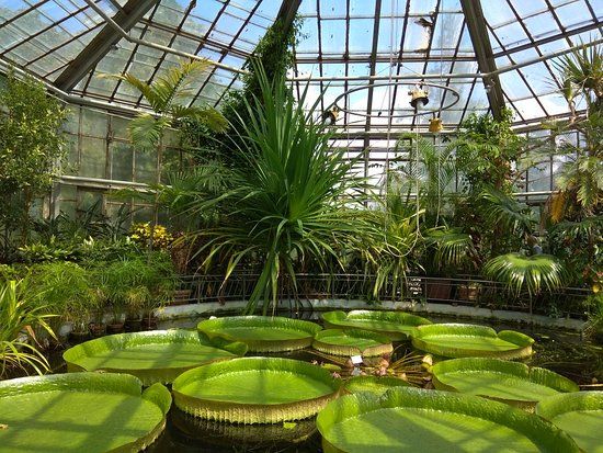 Cluj-Napoca Botanical Garden